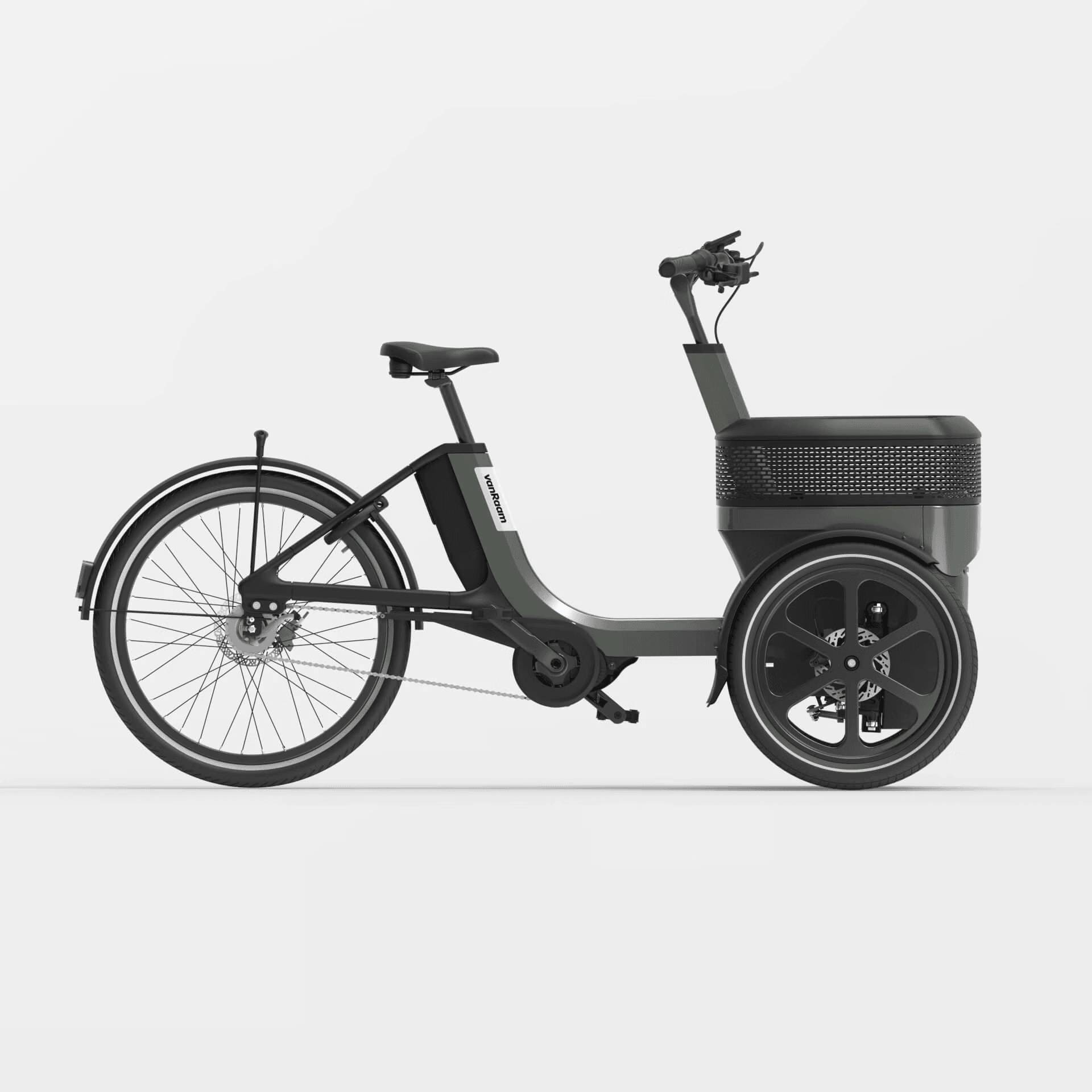 VAN RAAM Thuja Driewielfiets met Elektrische Aandrijving